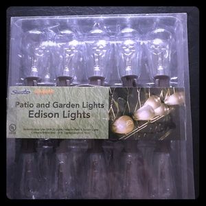 19 Feet of Indoor/Outdoor Edison Lights.